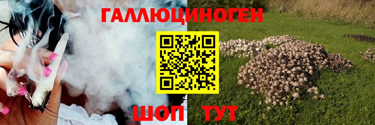 Галлюциногенные грибы прущие грибы Алейск