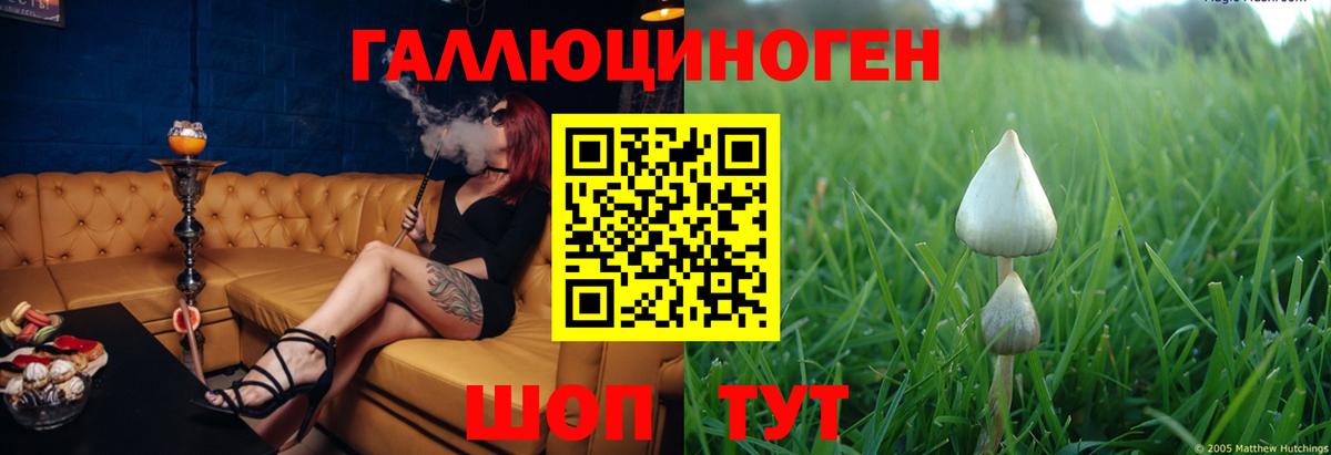 Алейск  Галлюциногенные грибы прущие грибы  Вход с VPN 